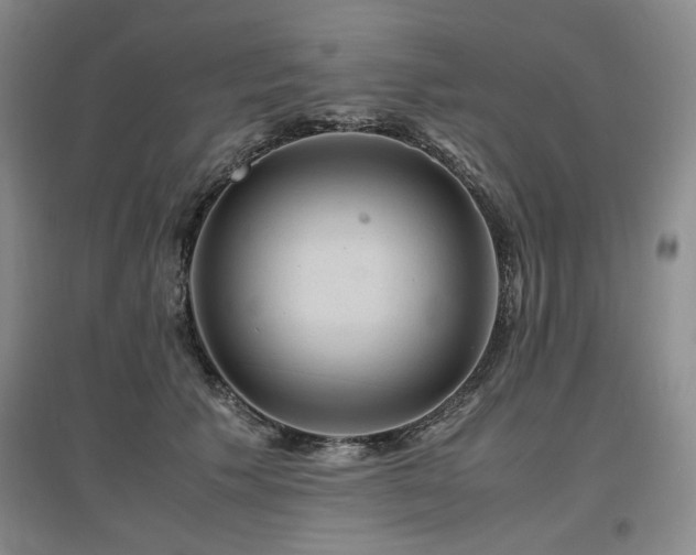 X0000097500609200802221446
