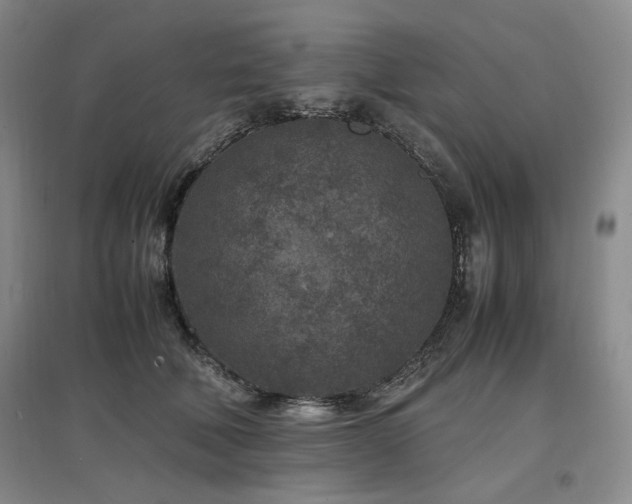 X0000097500610200802221446