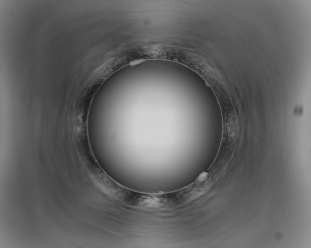 X0000097500611200802221446