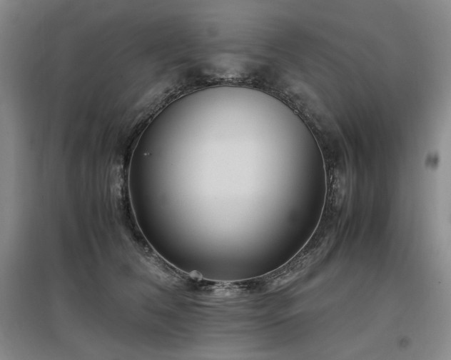 X0000097500612200802221446