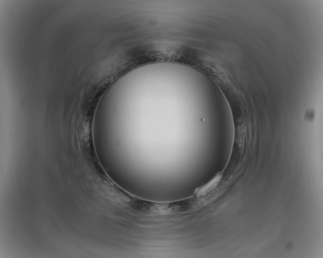 X0000097500613200802221446
