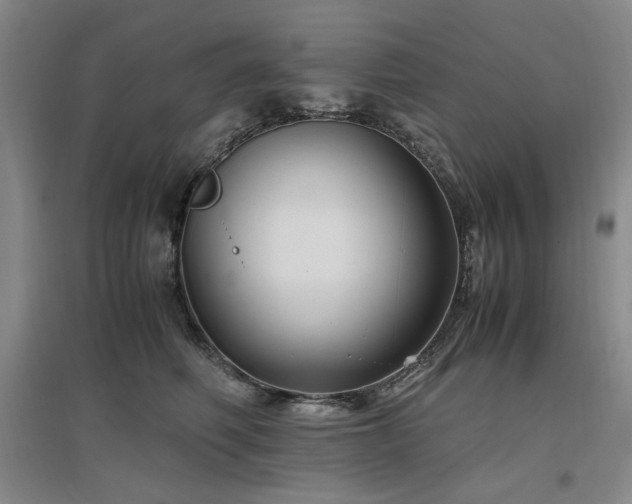 X0000097500614200802221446