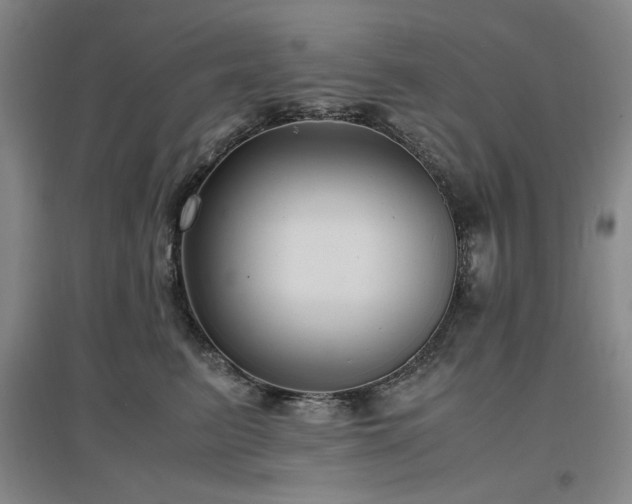 X0000097500615200802221446