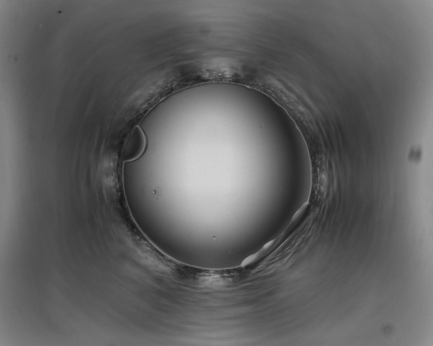 X0000097500616200802221446