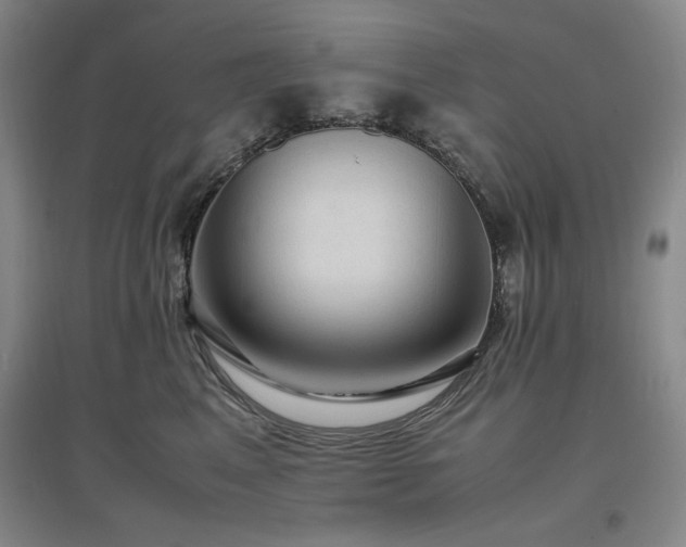 X0000097500617200802221446