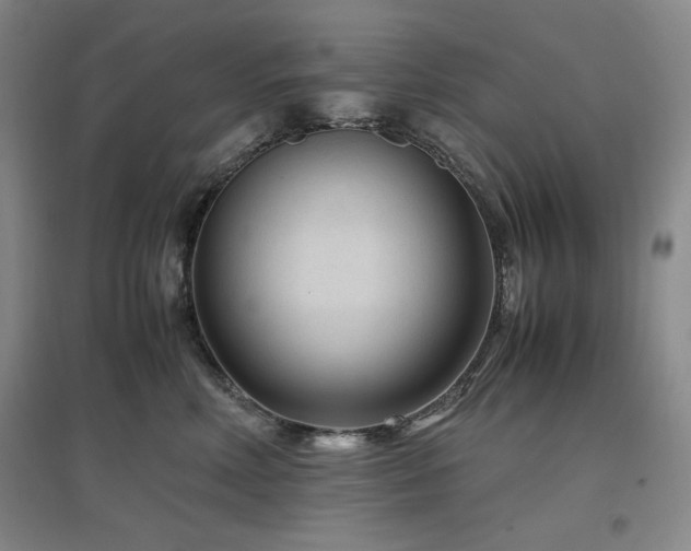 X0000097500618200802221446