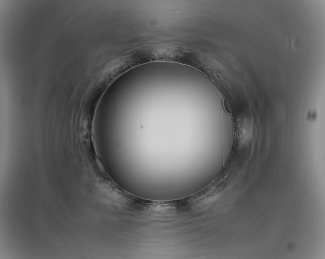 X0000097500619200802221446