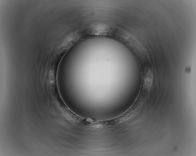 X0000097500620200802221446
