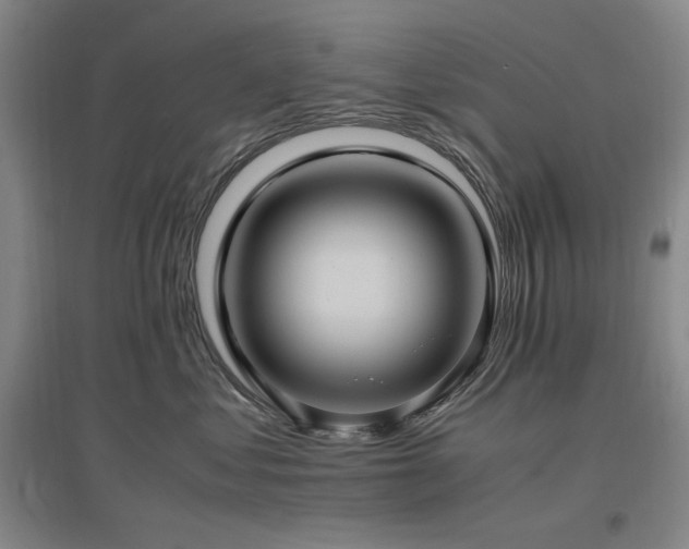 X0000097500621200802221446
