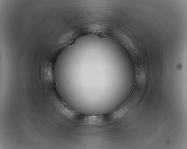 X0000097500622200802221446