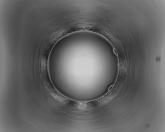 X0000097500623200802221446