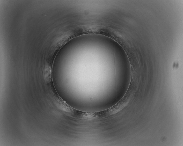 X0000097500624200802221446