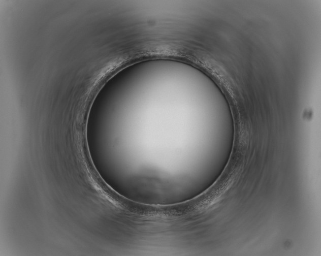 X0000097500625200802221445