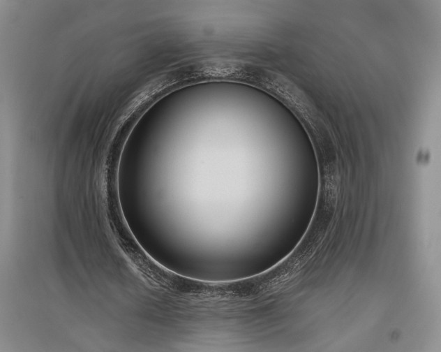 X0000097500626200802221445