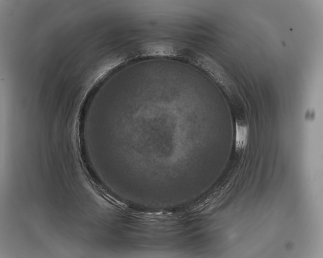 X0000097500627200802221445