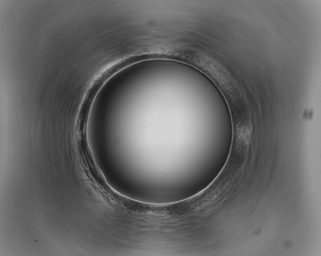 X0000097500628200802221445