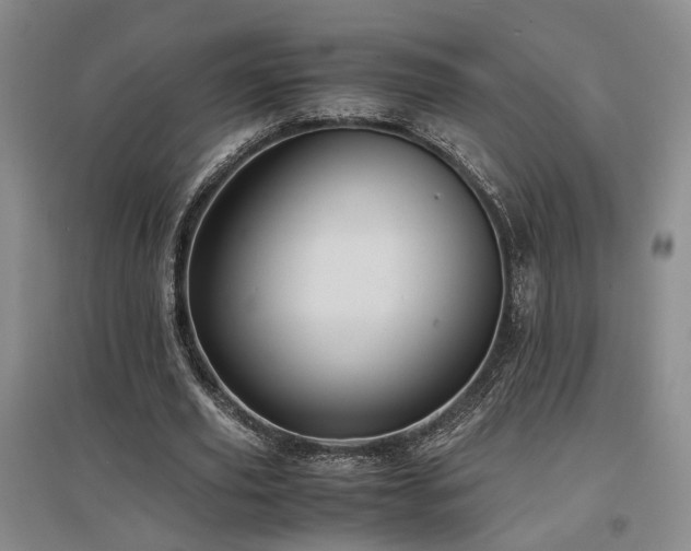X0000097500629200802221445