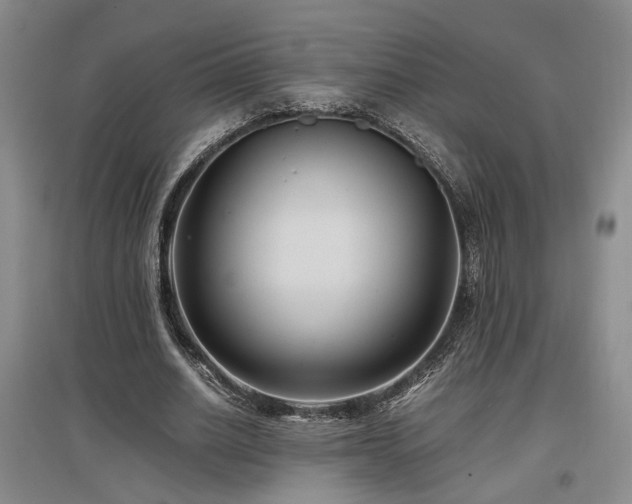 X0000097500630200802221445