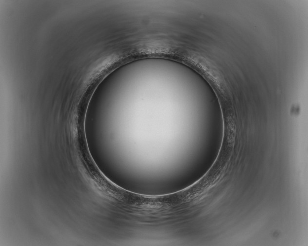 X0000097500631200802221445