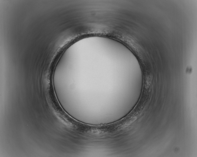 X0000097500632200802221445
