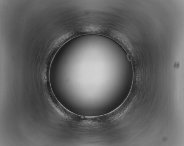 X0000097500633200802221445