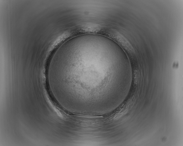 X0000097500634200802221445