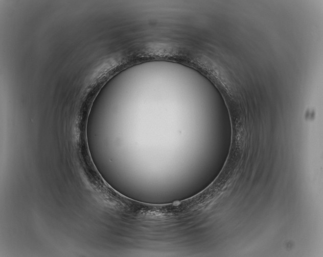 X0000097500635200802221445