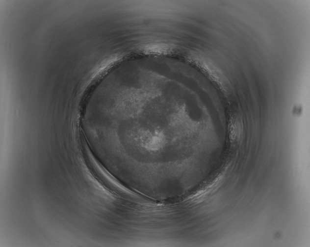 X0000097500637200802221445
