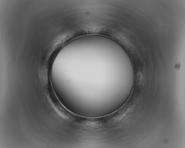 X0000097500638200802221445