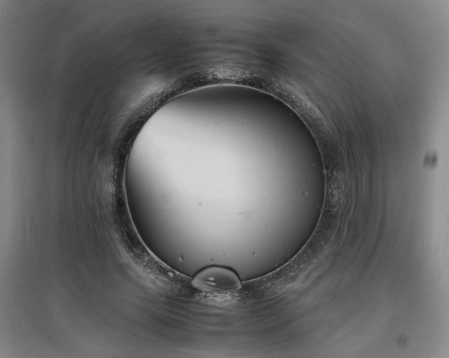 X0000097500639200802221445