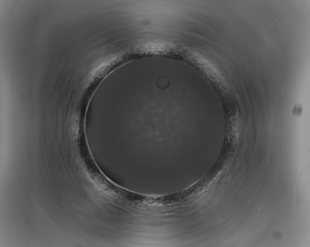 X0000097500640200802221445