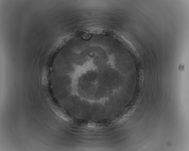 X0000097500641200802221445