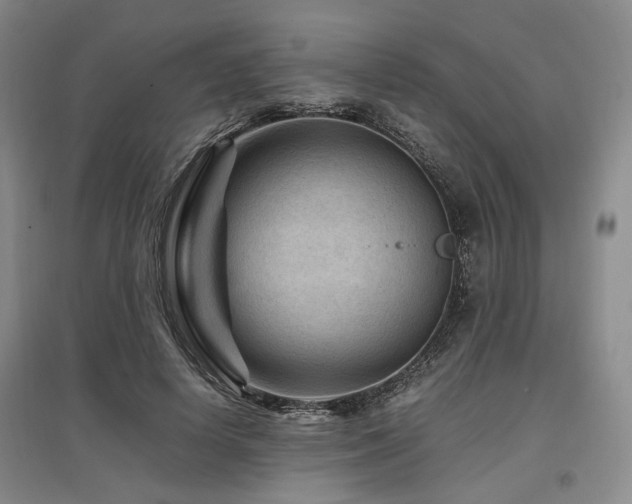 X0000097500642200802221445