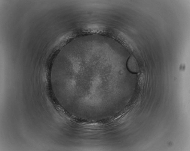 X0000097500643200802221445