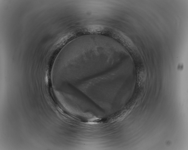 X0000097500644200802221445