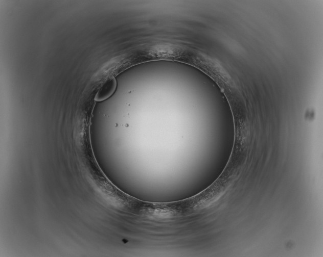 X0000097500645200802221445