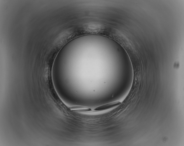 X0000097500647200802221445