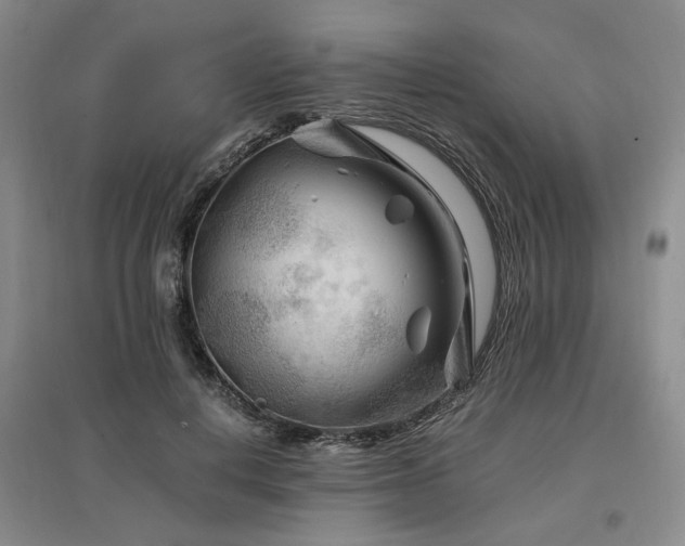 X0000097500648200802221445