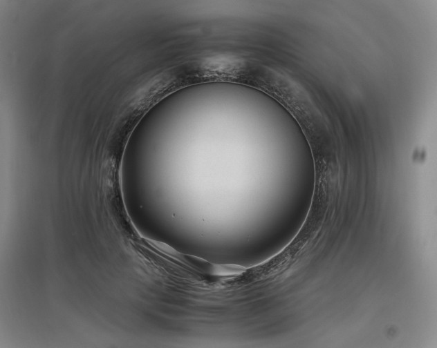 X0000097500649200802221445