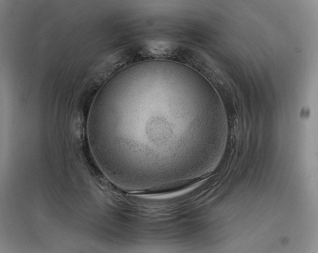 X0000097500651200802221445