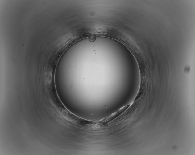 X0000097500652200802221445