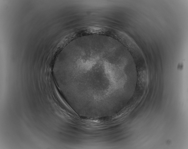 X0000097500653200802221445