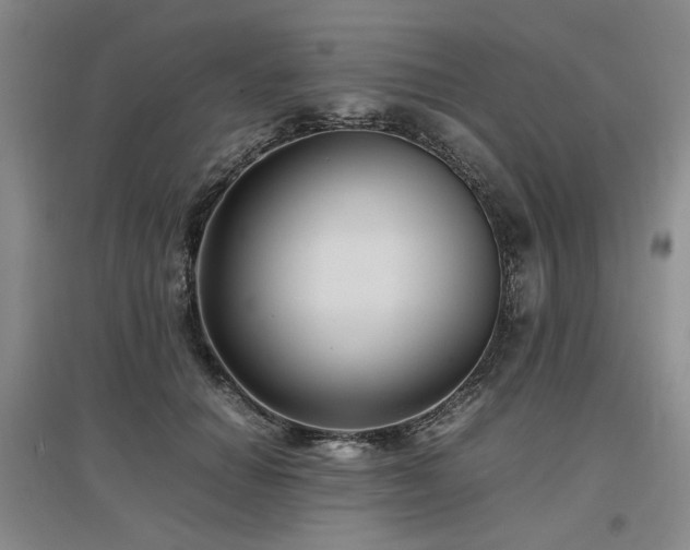 X0000097500654200802221445