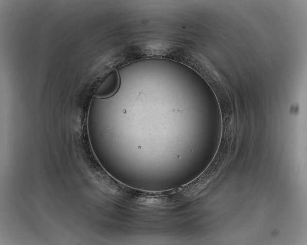 X0000097500655200802221445