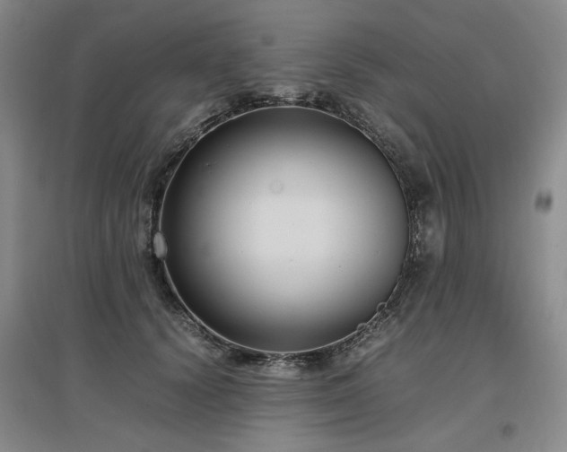 X0000097500656200802221445