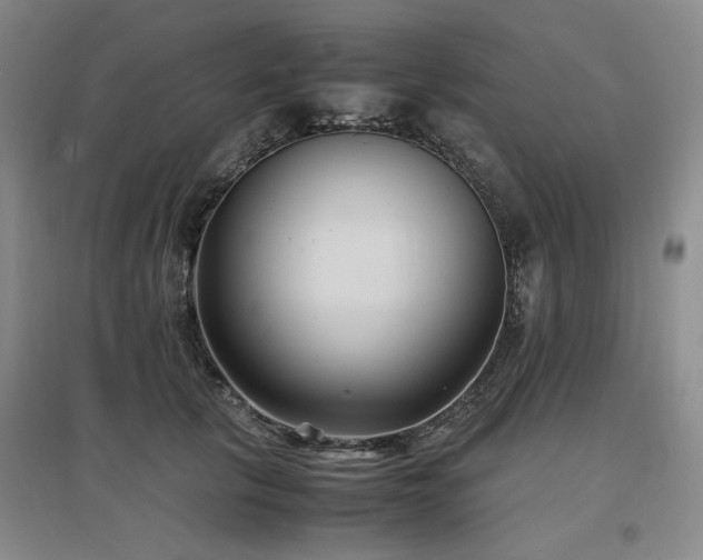 X0000097500657200802221445