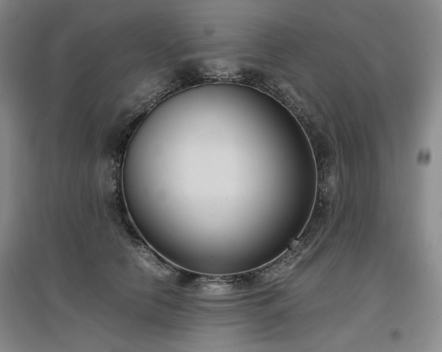 X0000097500658200802221445