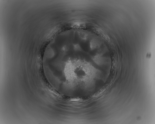 X0000097500659200802221445