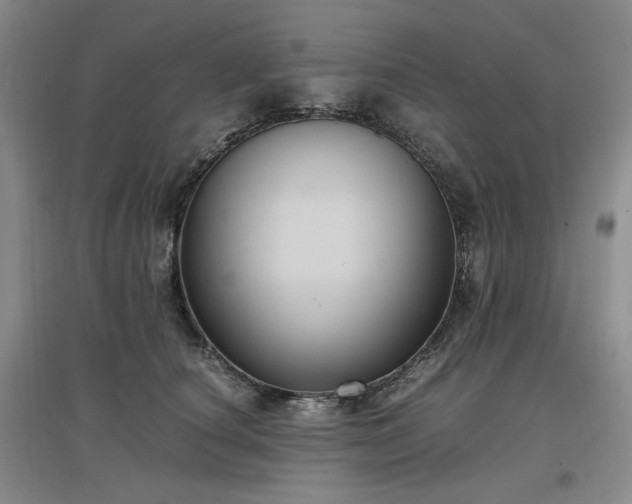 X0000097500660200802221445