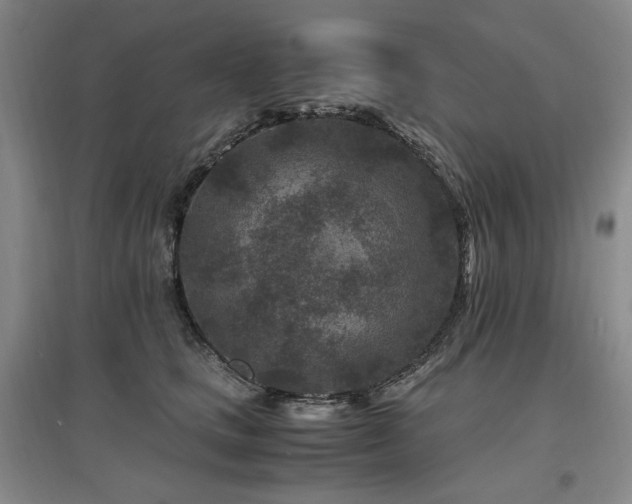 X0000097500661200802221445